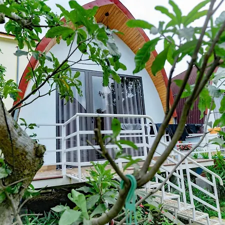 Areca Bungalow Phong Nha Exterior photo
