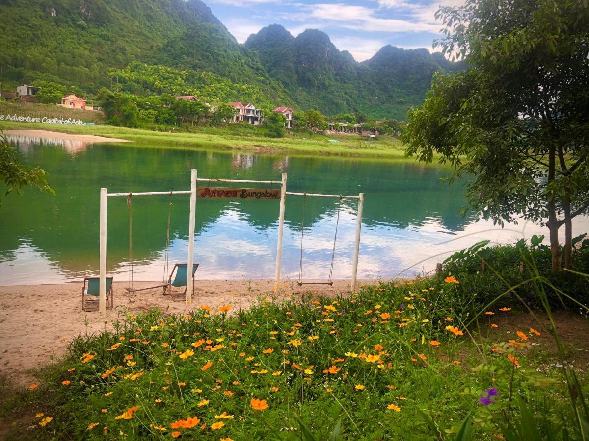 Areca Phong Nha