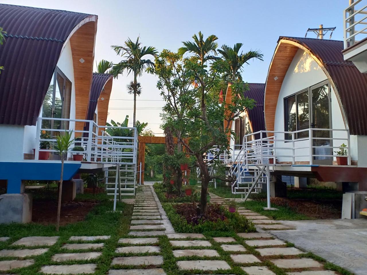 Areca 3*